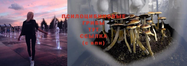 бошки Абаза