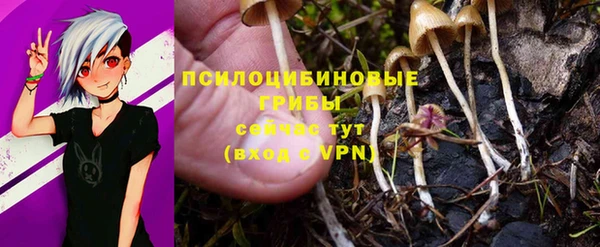 ПСИЛОЦИБИНОВЫЕ ГРИБЫ Протвино